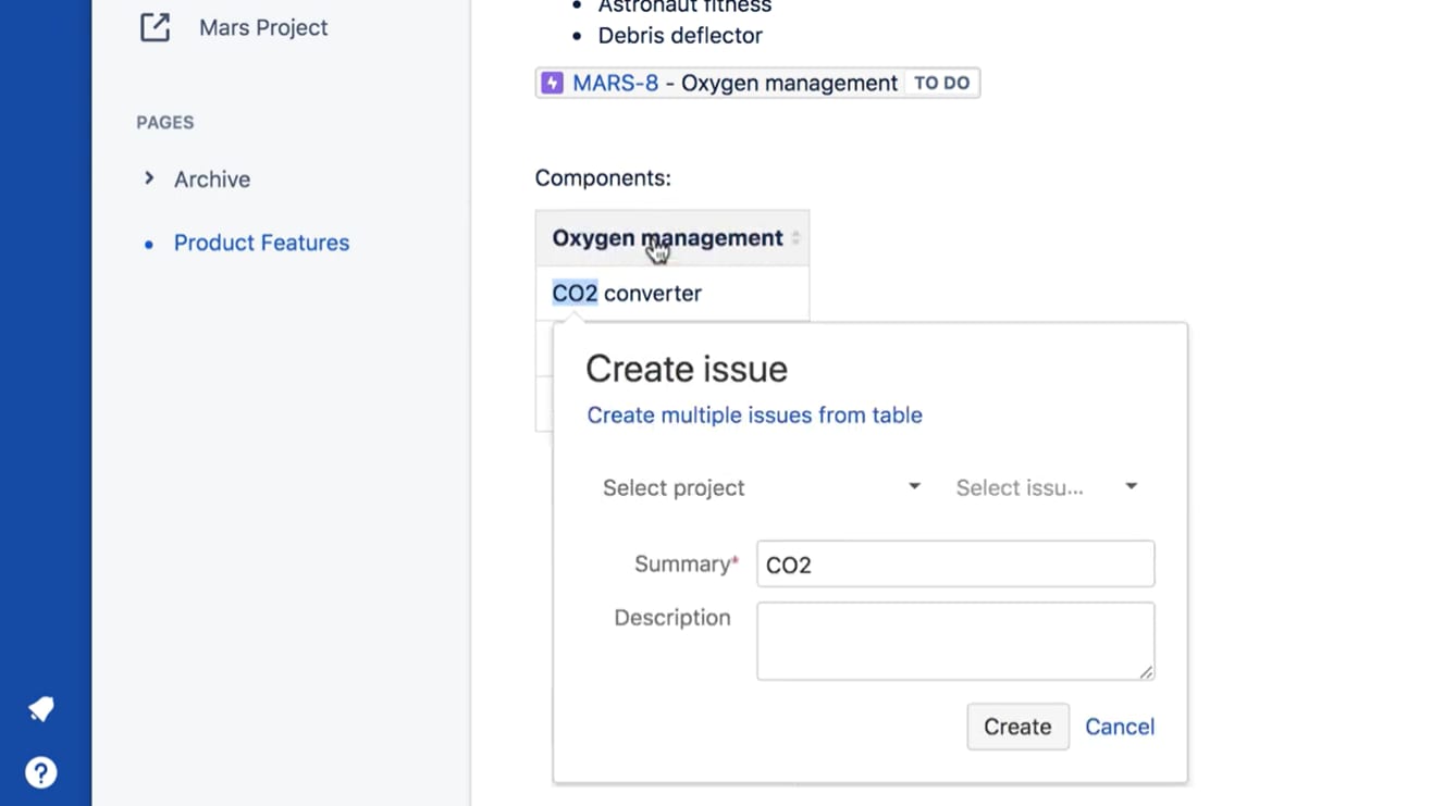 JIRA Confluence: Issue Details